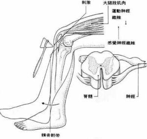 藥物中毒性周圍神經病