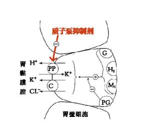 質子泵抑制劑