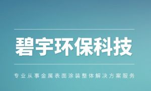 寧波碧宇環保科技有限公司