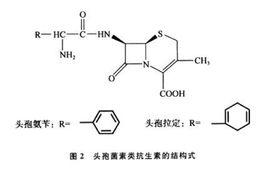 頭孢類抗生素