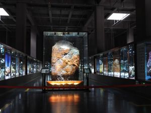 中國石林喀斯特地質博物館