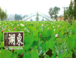 東湖與東湖公園