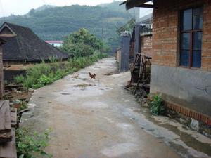 糯東村-村內道路