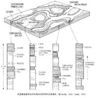 網狀河沉積