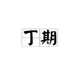 丁期[漢語詞語]