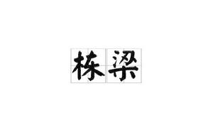 棟樑[漢語詞語]