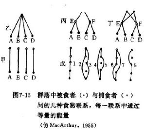 不同群落營養結構