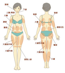 利保平適用的部位