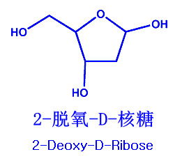 2-脫氧-D-核糖分子結構