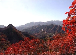 （圖）陵川紅葉