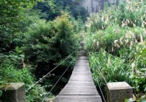 合肥舜耕山國家森林公園