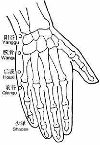 （圖）少澤穴