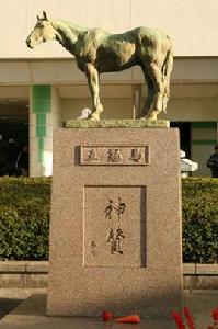 日本中央競馬會殿堂馬