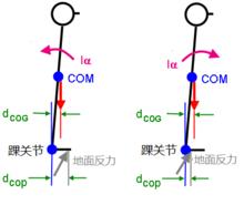 靜態姿勢穩定性