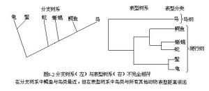 分支系統學