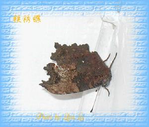 銹