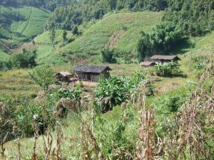 亮洞自然村