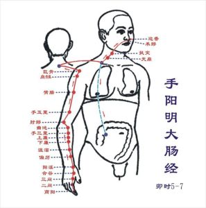 手陽明大腸經