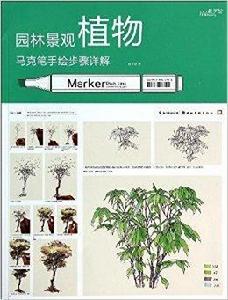 園林景觀植物馬克筆手繪步驟詳解