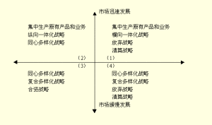 戰略群模型