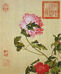 郎世寧《花卉冊》局部