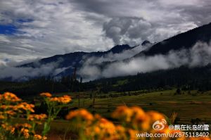 長島的雪