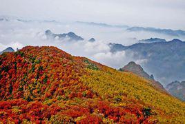 歷山[山西省境內山]