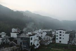 龍尾村[陝西省寶雞市陳倉區橋鎮龍尾村]