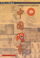 2008中國網事