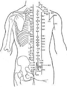 脊針穴位
