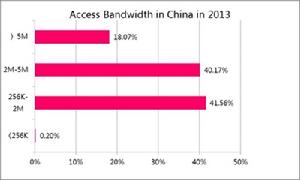 2013年中國網際網路感知數據報告