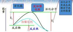 催化劑對化學反應速率的影響