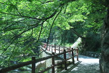 太平國家森林公園