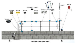 索脈電子科技（上海)有限公司