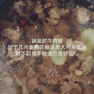 西紅柿胡蘿蔔牛肉湯