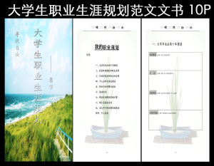 大學生職業生涯規劃書模板