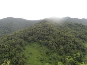 大小陸廠村