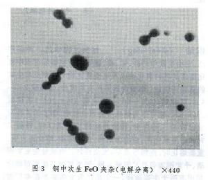 鋼中大型非金屬夾雜物