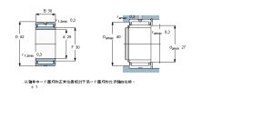 SKF NA6905軸承