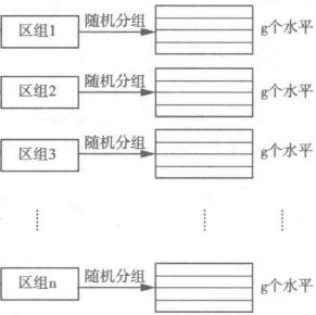 圖1隨機區組設計