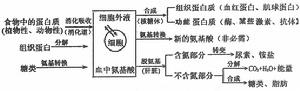 營養障礙性多發性神經病