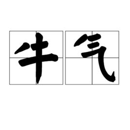 牛氣[詞語含義]