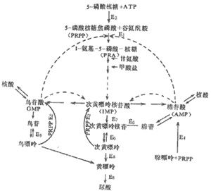 惠妥滋