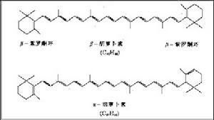 脂類