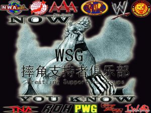 WSG