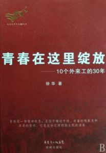 青春在這裡綻放：10個外來工的30年