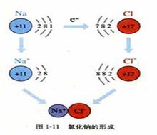 離子鍵