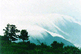 百花山風景區