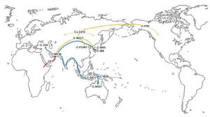 單倍群C[Y染色體DNA單倍群C]