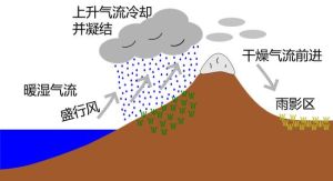 雨影區